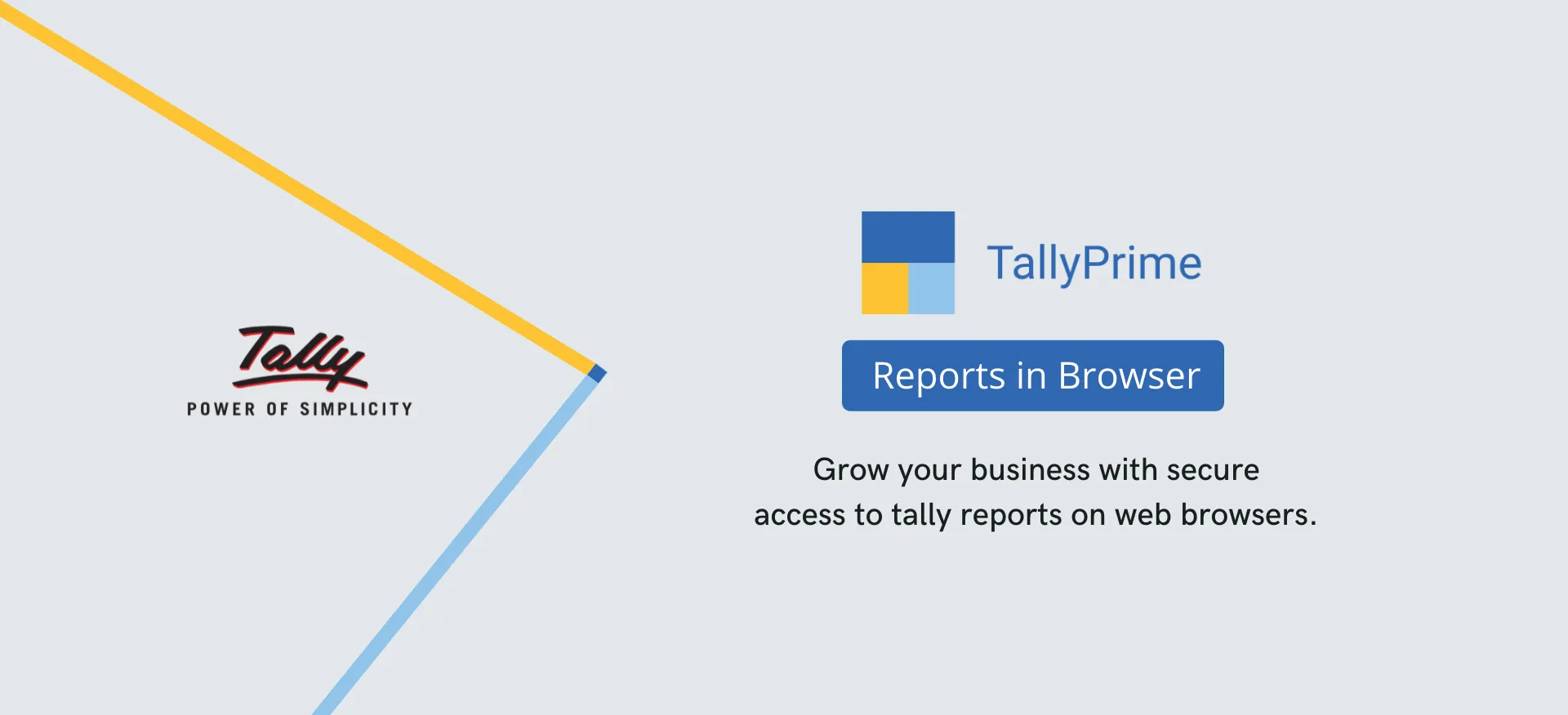 tally prime reports in browser
